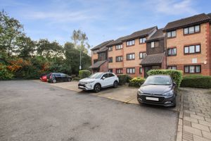 Photo 7- click for photo gallery